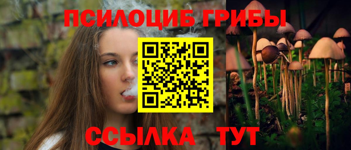 Псилоцибиновые грибы Magic Shrooms  Вход с VPN  Галлюциногенные грибы мухоморы  Норильск 