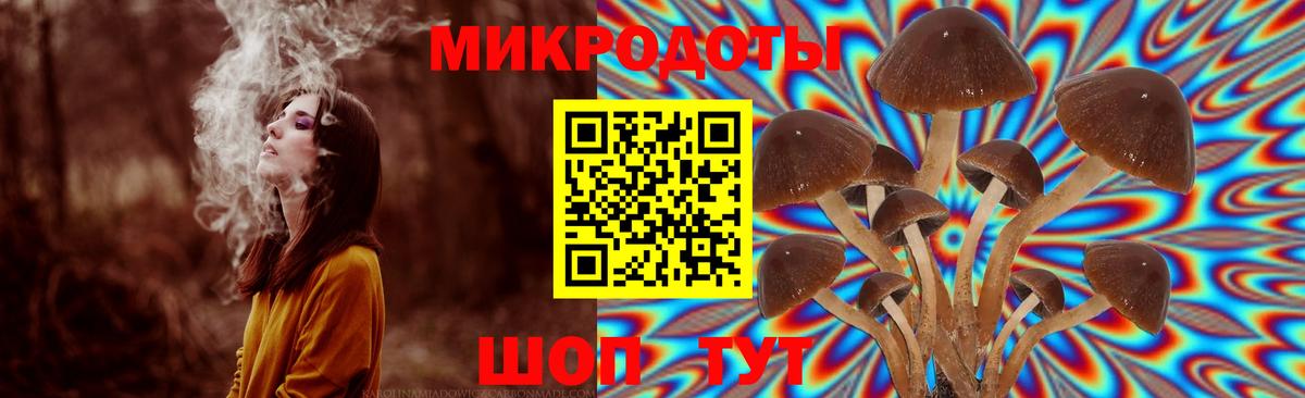 Галлюциногенные грибы Cubensis Норильск